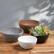 Four bowl planters in different colors sitting on a wooden table Four bowl planters in different colors sitting on a wooden table